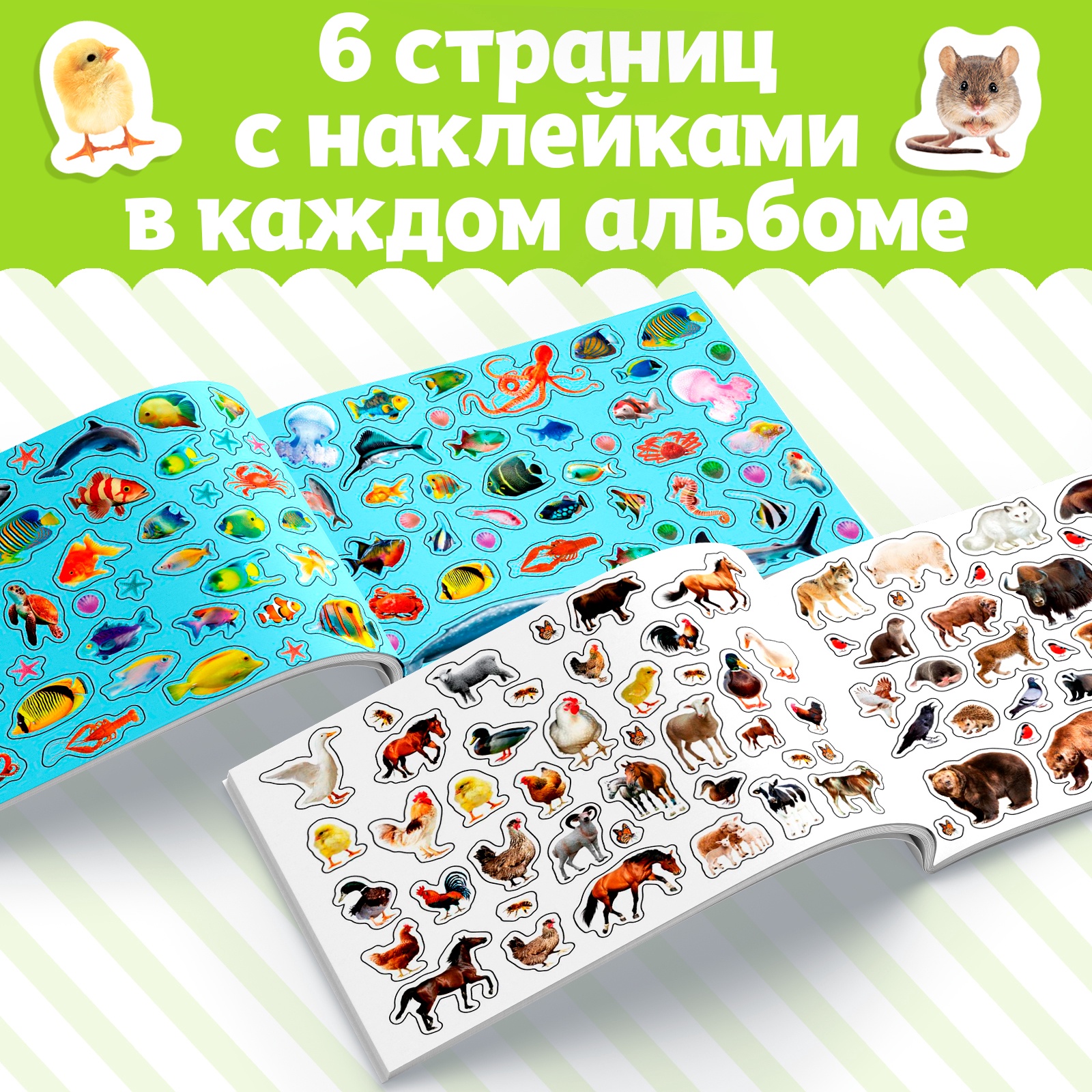 Книжное комплектное издание Буква-ленд 250 наклеек Животные со всего света 2 шт 8 стр - фото 3