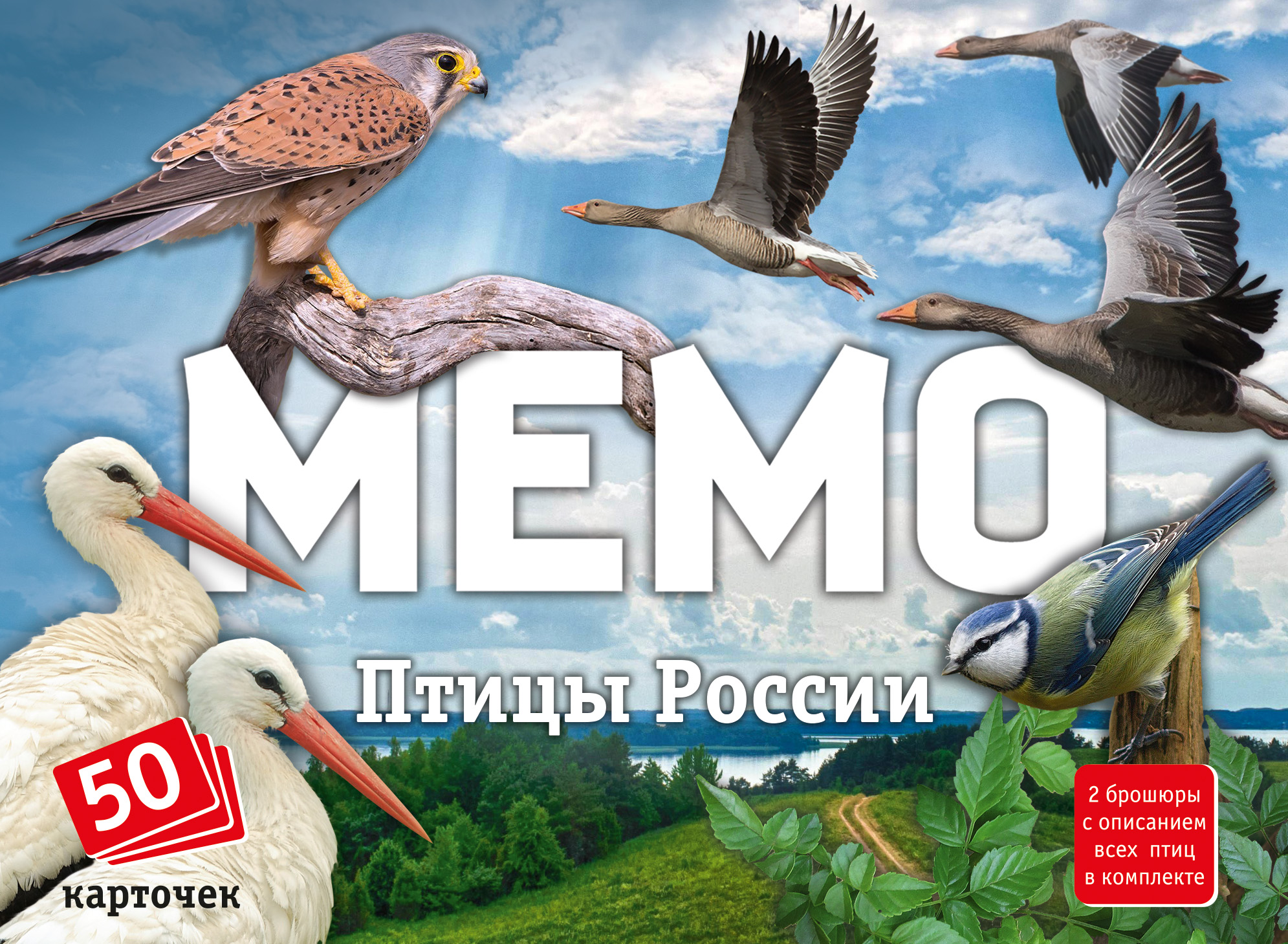 Настольная игра Нескучные игры Птицы России - фото 1