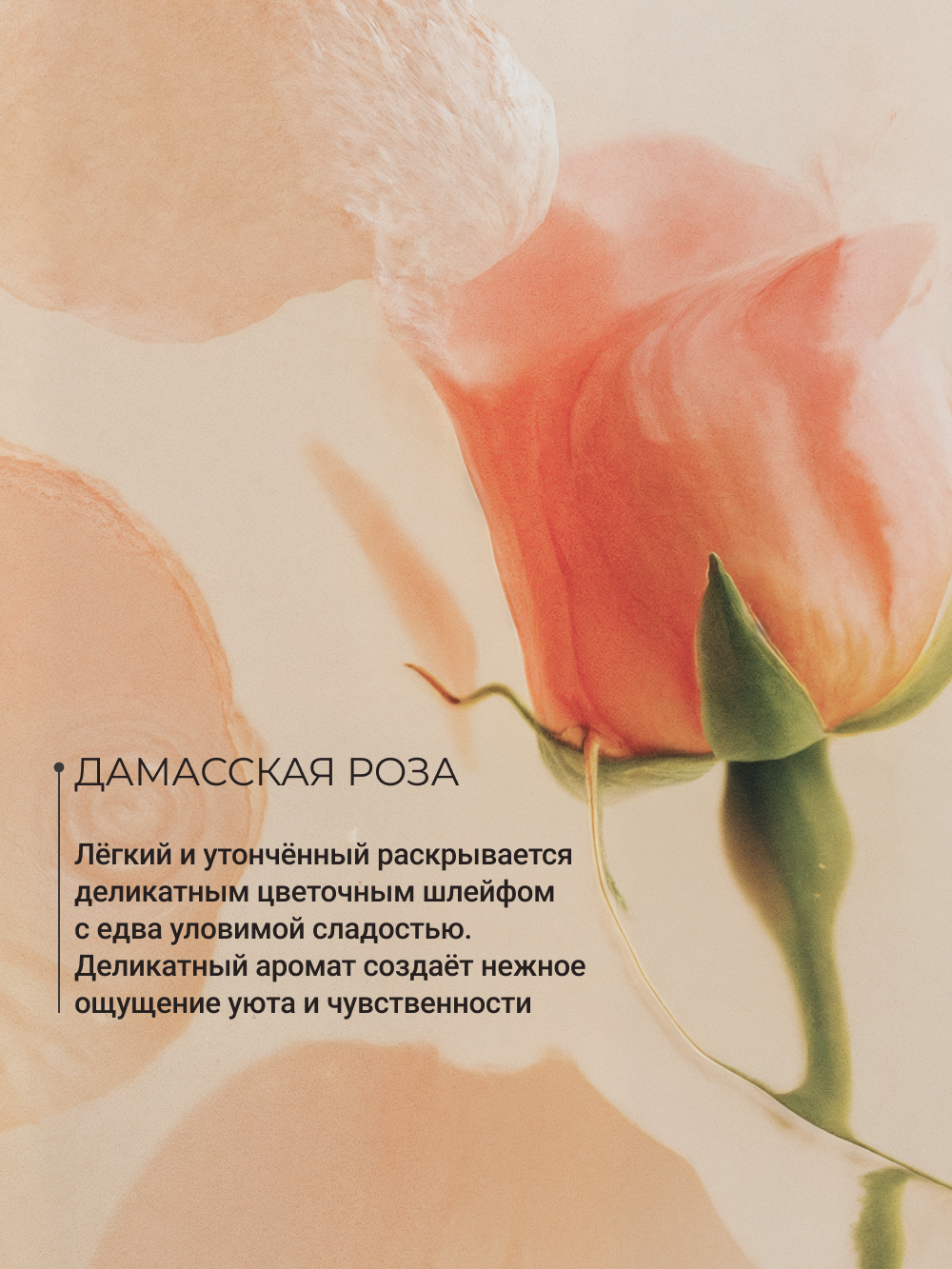 Крем Zeitun Невесты 100 мл - фото 6