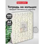 Тетрадь со сменным блоком Brauberg клетка