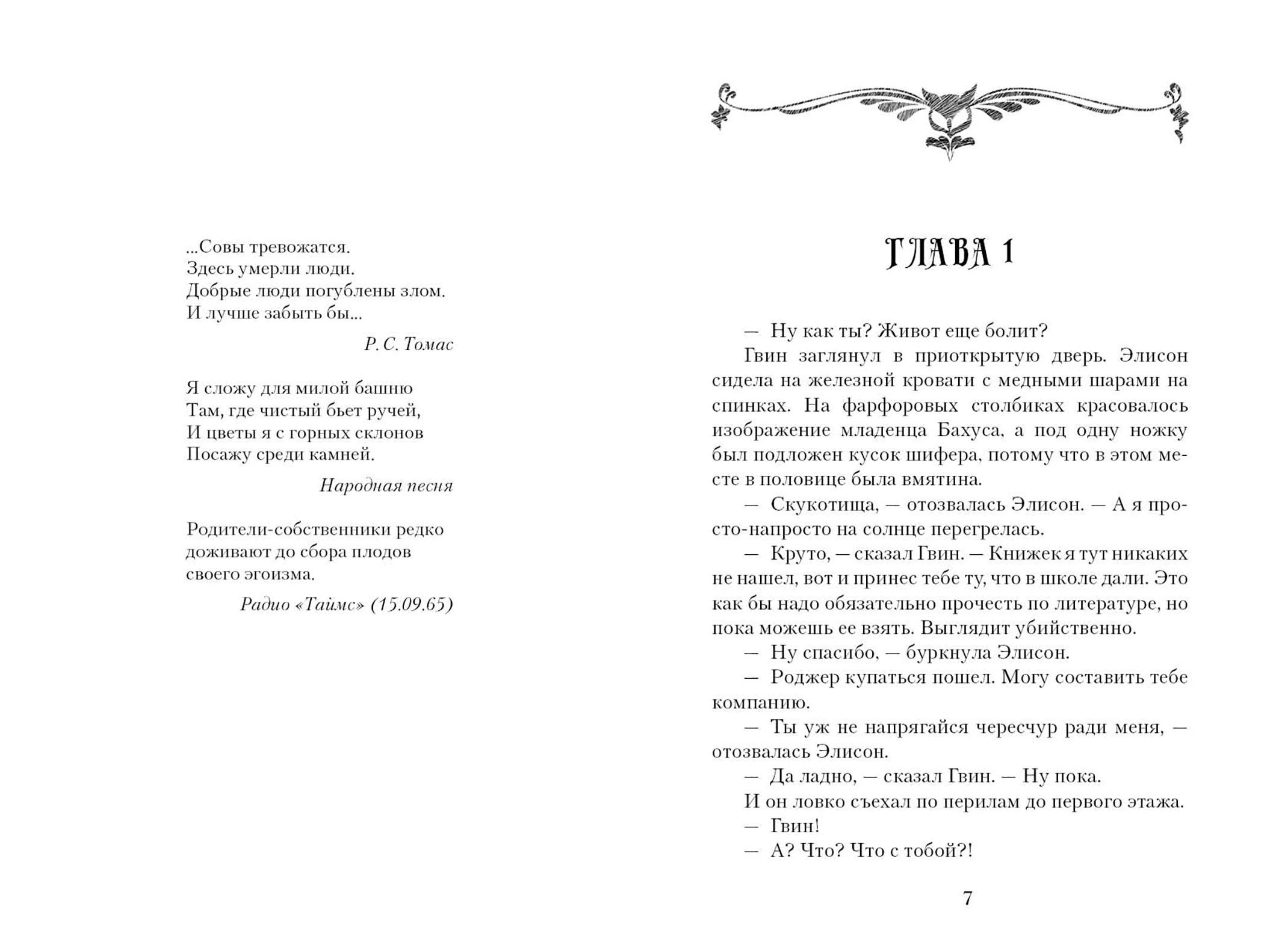 Книга Качели Служба сов - фото 4