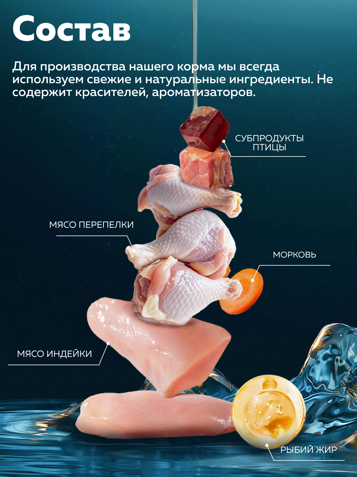 Корм влажный Зоогурман Holistic Перепелка с рисом и цукини, для собак 350 г х 12 шт. - фото 4