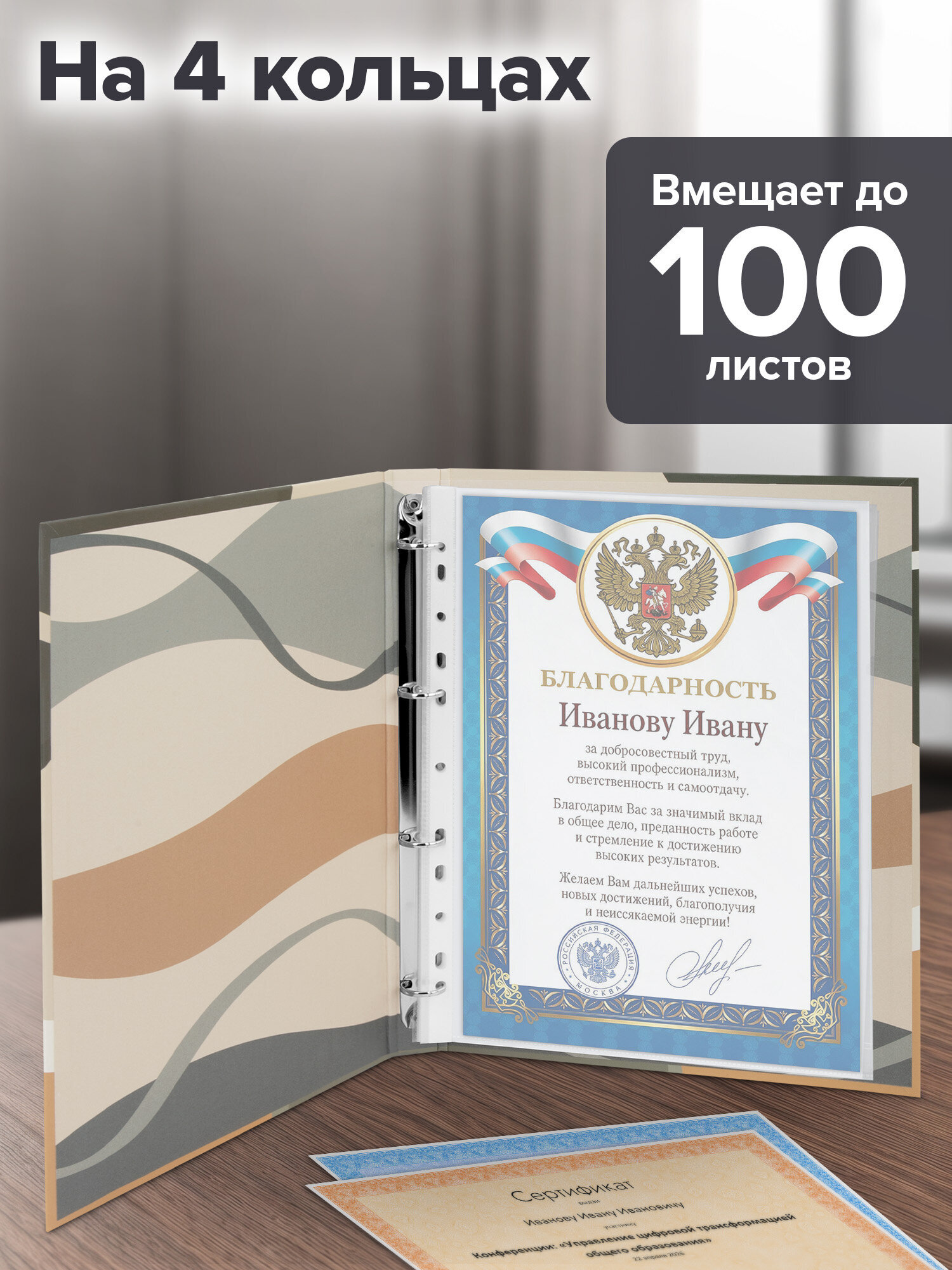 Портфолио школьника Brauberg папка А4 на кольцах 20 файлов для девочки и мальчика - фото 2