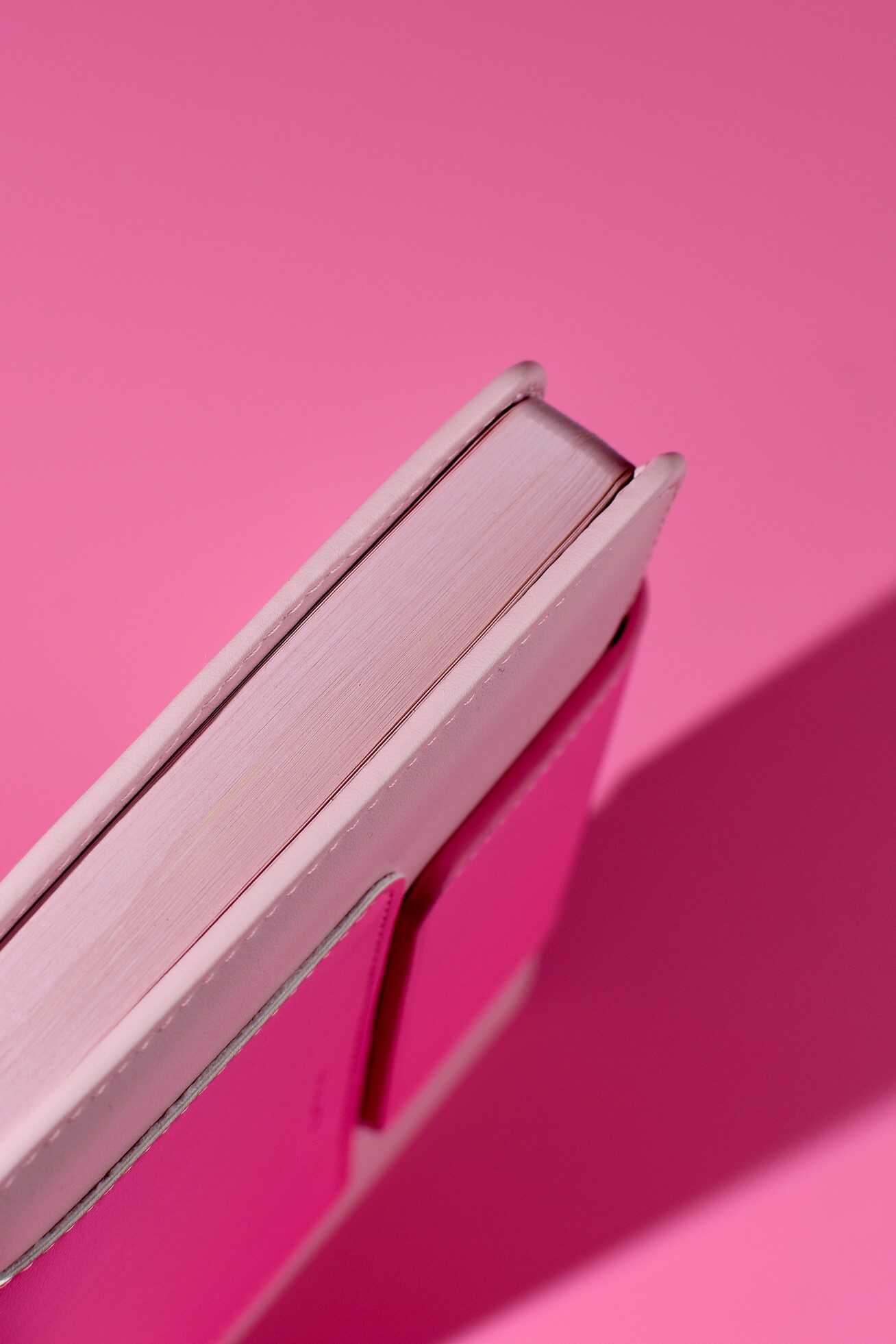 Ежедневник Феникс + ESCALADA 160 лист. - фото 11