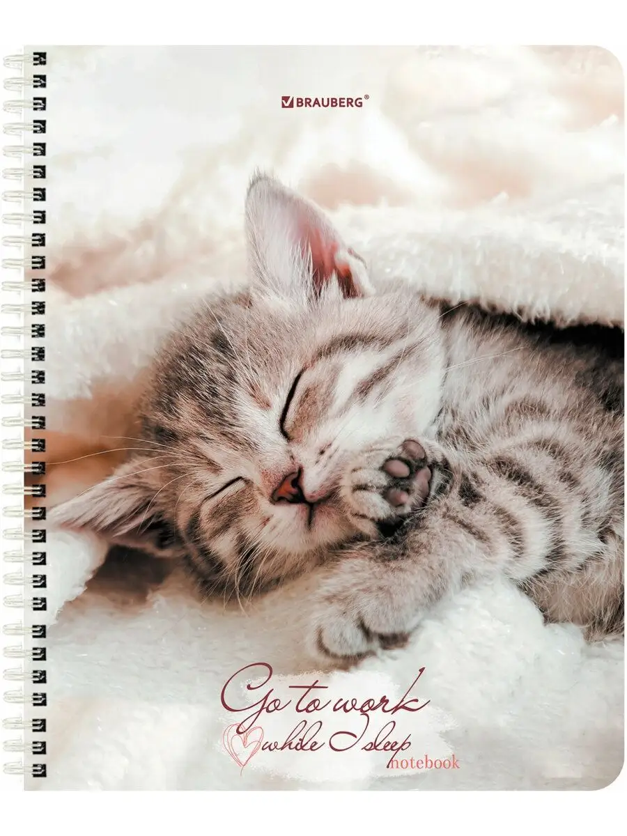 Тетрадь Brauberg клетка 96 лист. 4 шт. - фото 6