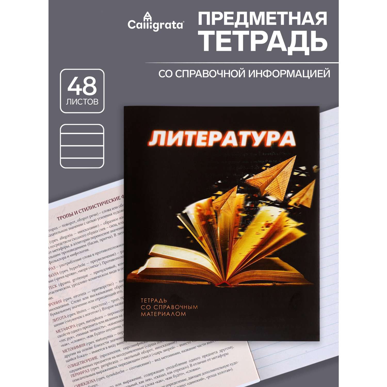 Тетрадь предметная Литература 3D 48л линейка 5927002 - фото 1