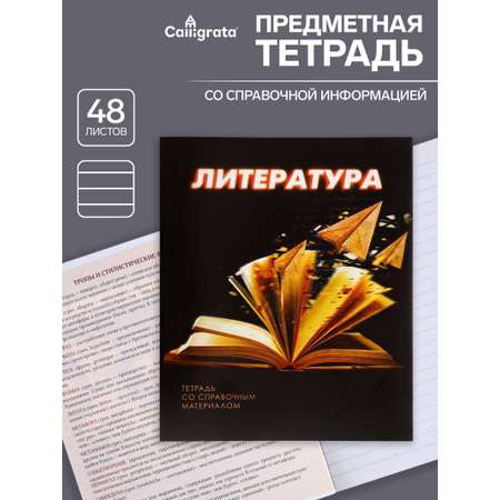 Тетрадь предметная Литература 3D 48л линейка 5927002