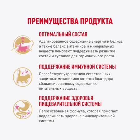 Корм для котят Royal Canin 85г Maine Coon Kitten соус для котят мейн кун пауч