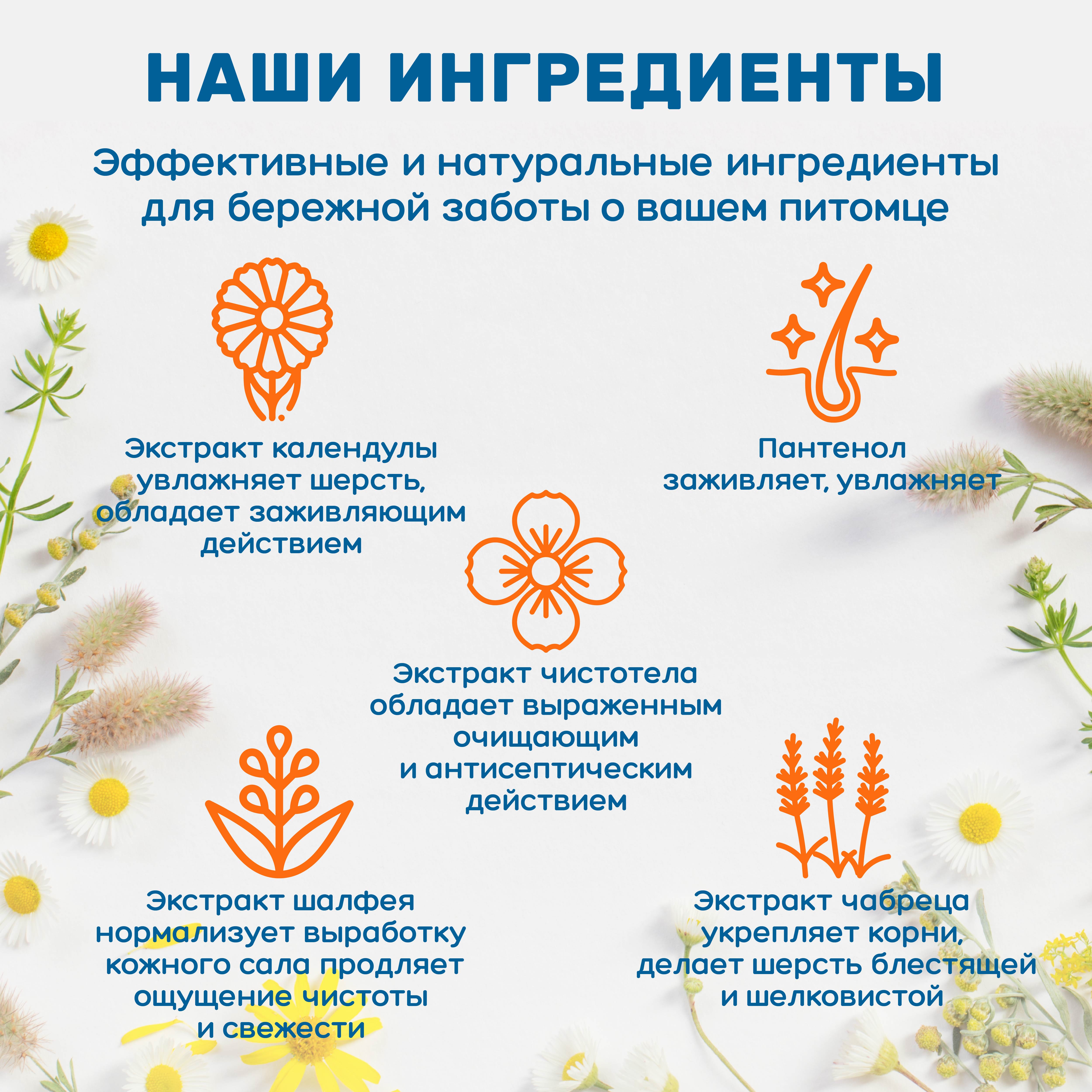 Шампунь ZOORIK для собак и кошек глубокой очистки 5000 мл - фото 6