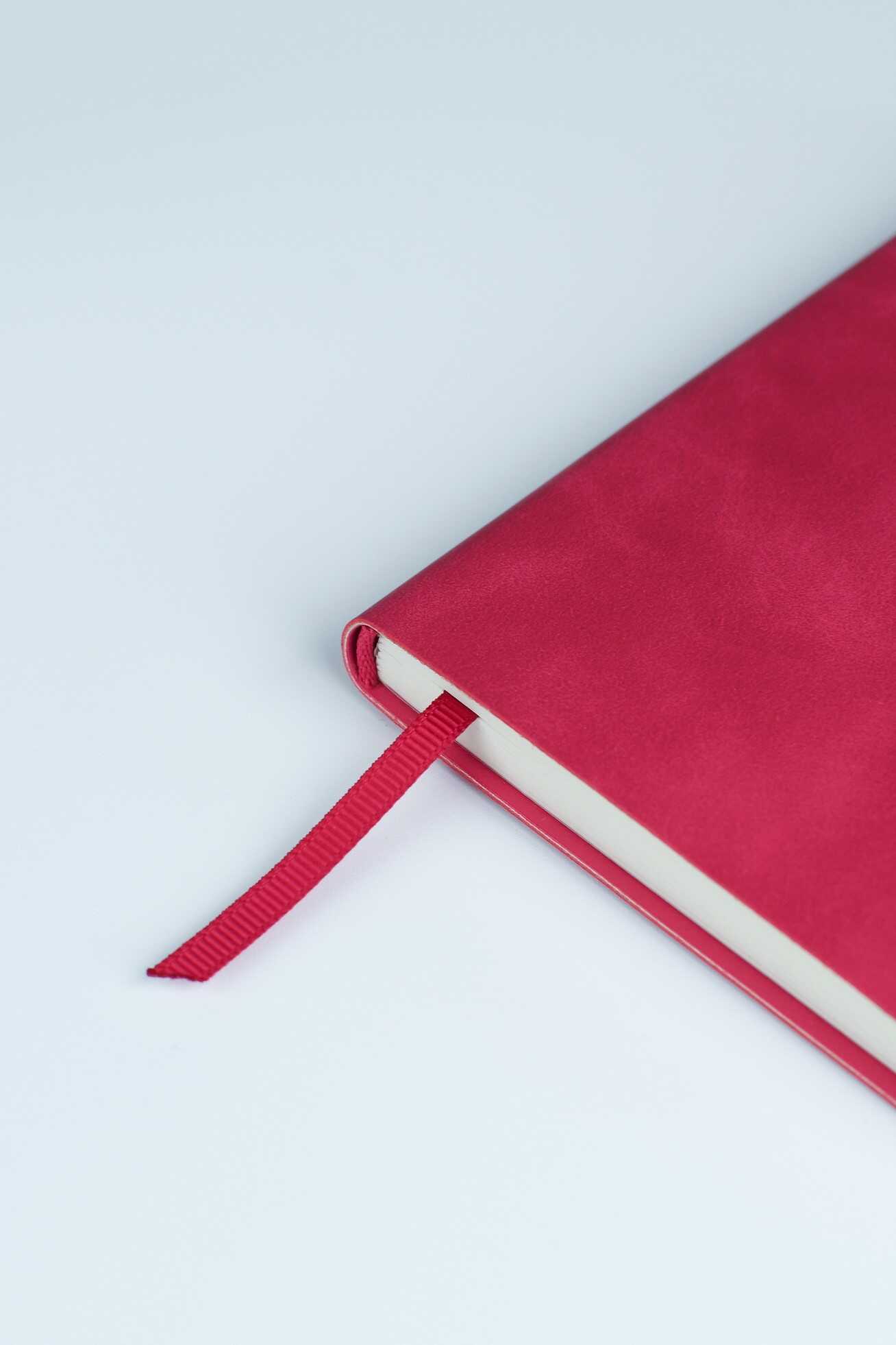 Ежедневник Феникс + ESCALADA 120 лист. - фото 11