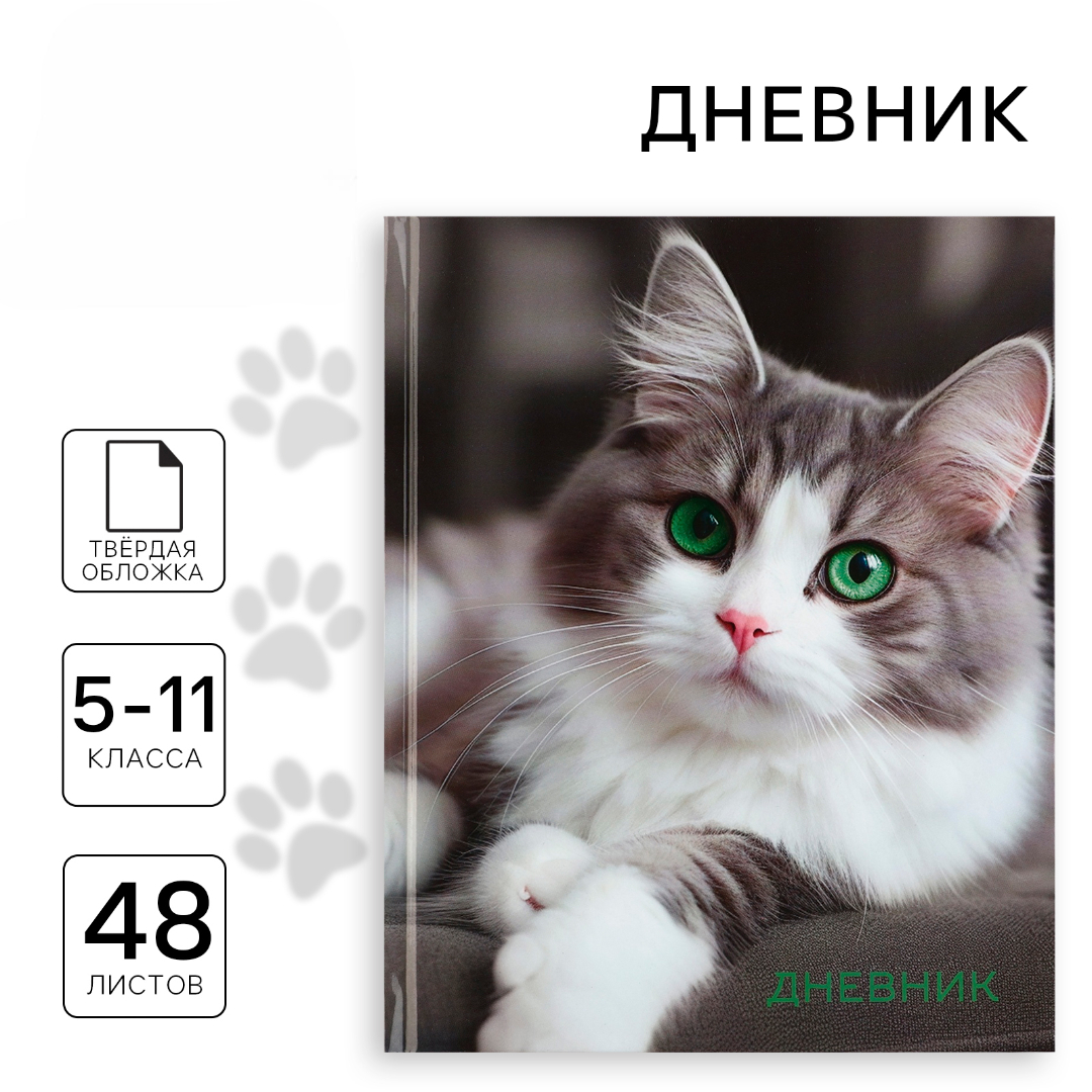 Дневник ArtFox STUDY для 5-11 класса, в твердой обложке, 48 л. "Кошка" - фото 1