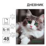 Дневник ArtFox STUDY для 5-11 класса, в твердой обложке, 48 л. "Кошка"