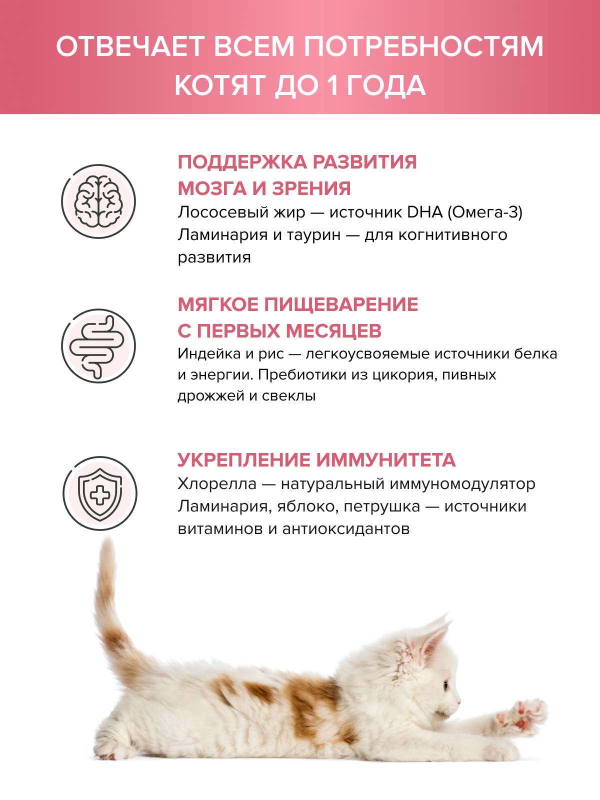 Корм для котят DOCTRINE сухой с индейкой и рисом 3 кг - фото 2