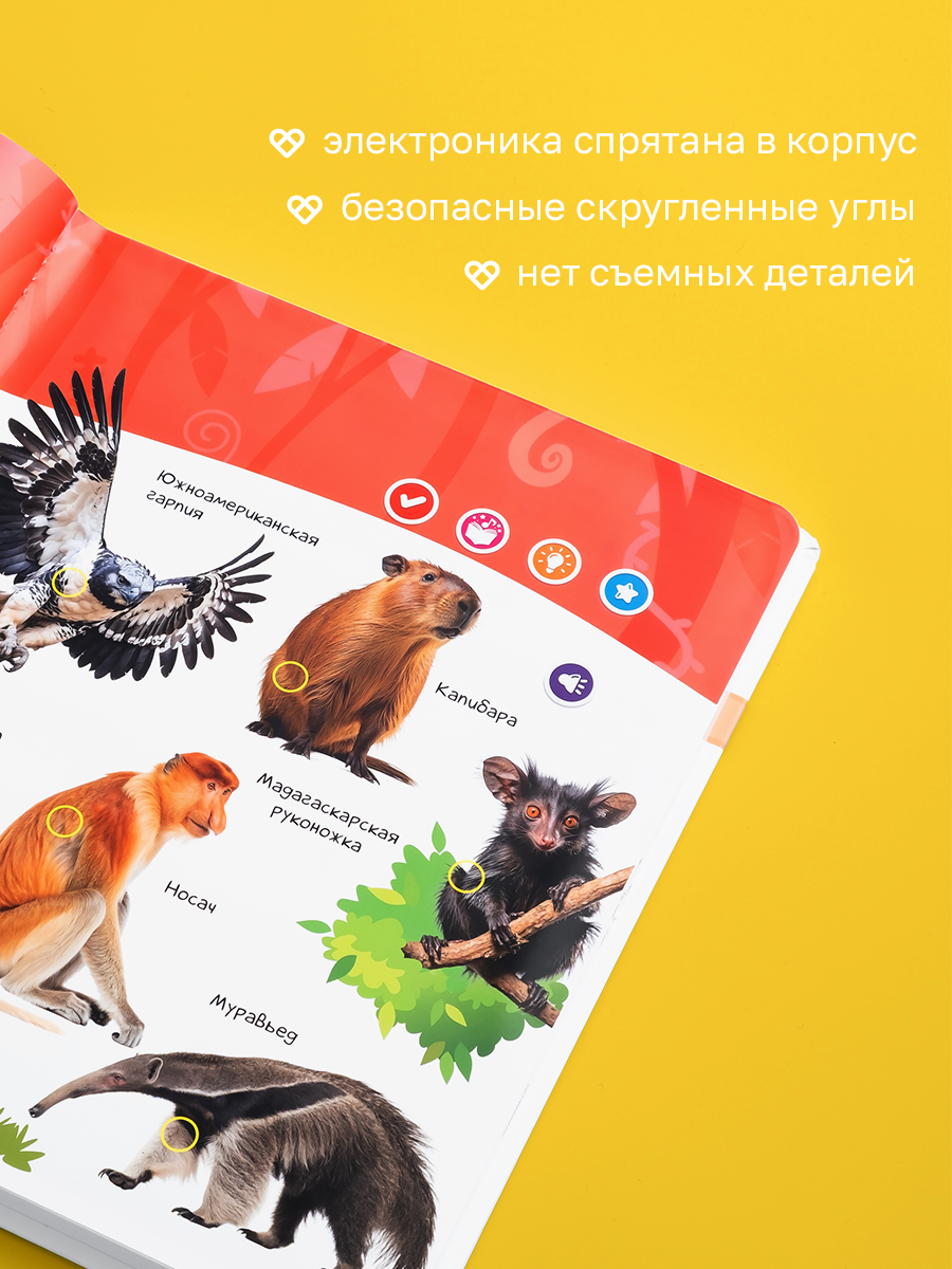 Говорящая книжка Нажималка BertToys Животные - фото 15