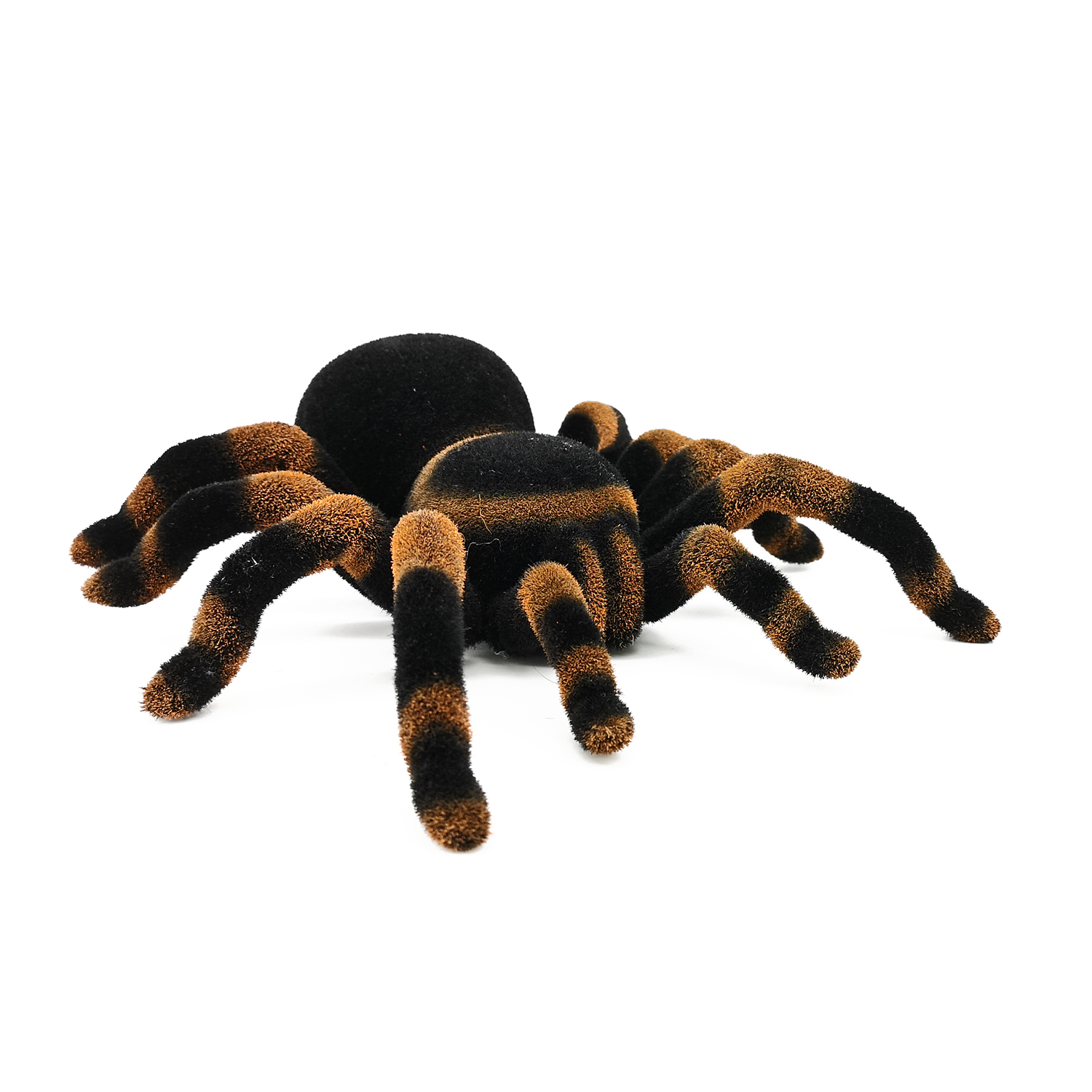 Паук РУ Edu Toys Тарантул - фото 1