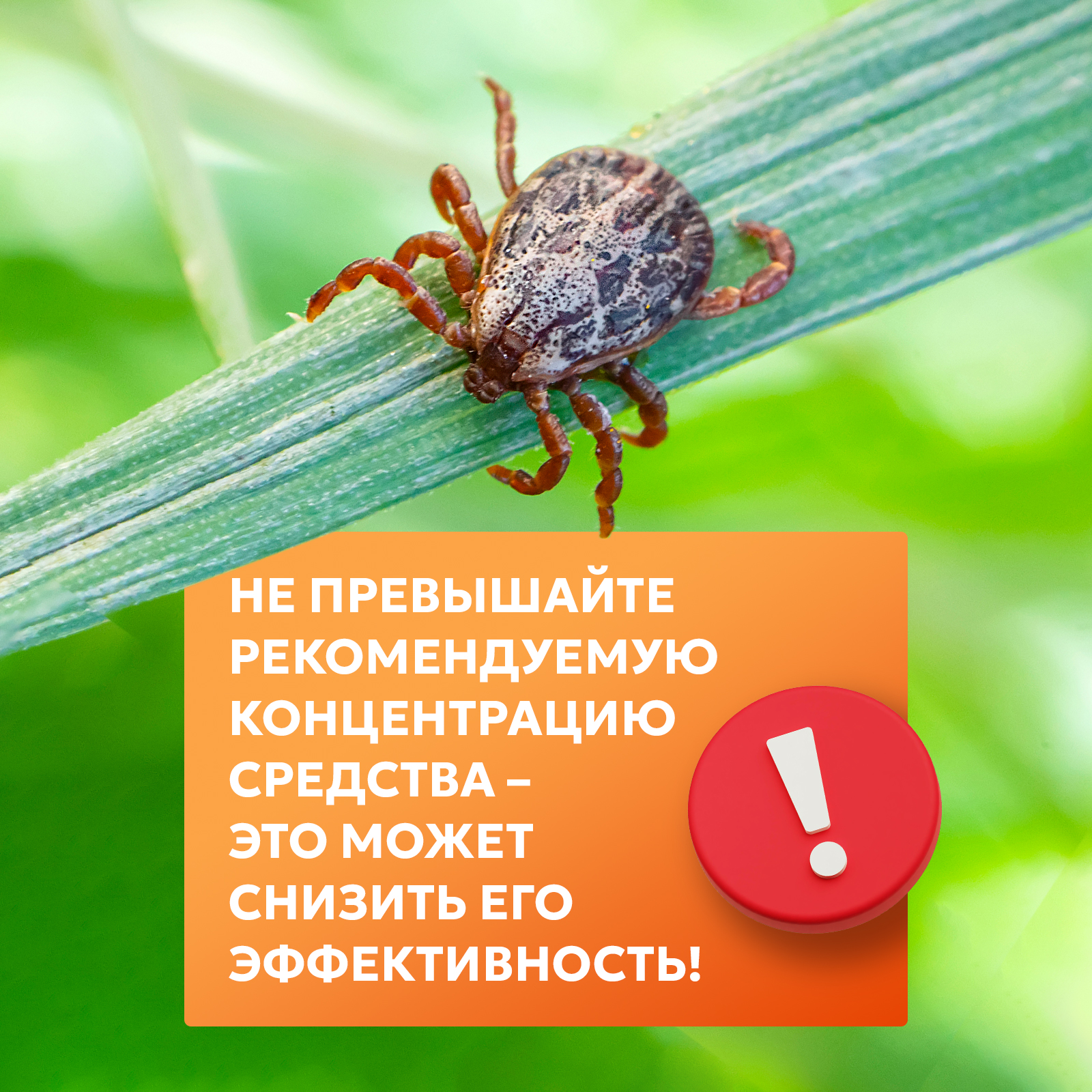 Циперметрин ВЕРМИДЕКС отрава от блох и комаров, 50 мл - фото 4