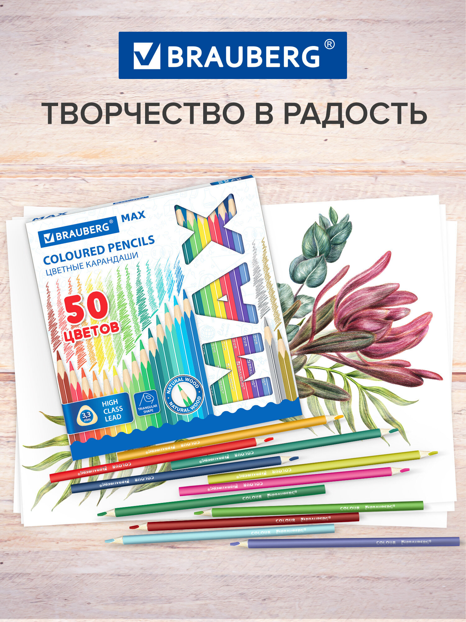 Карандаши цветные Brauberg 50 шт. - фото 7