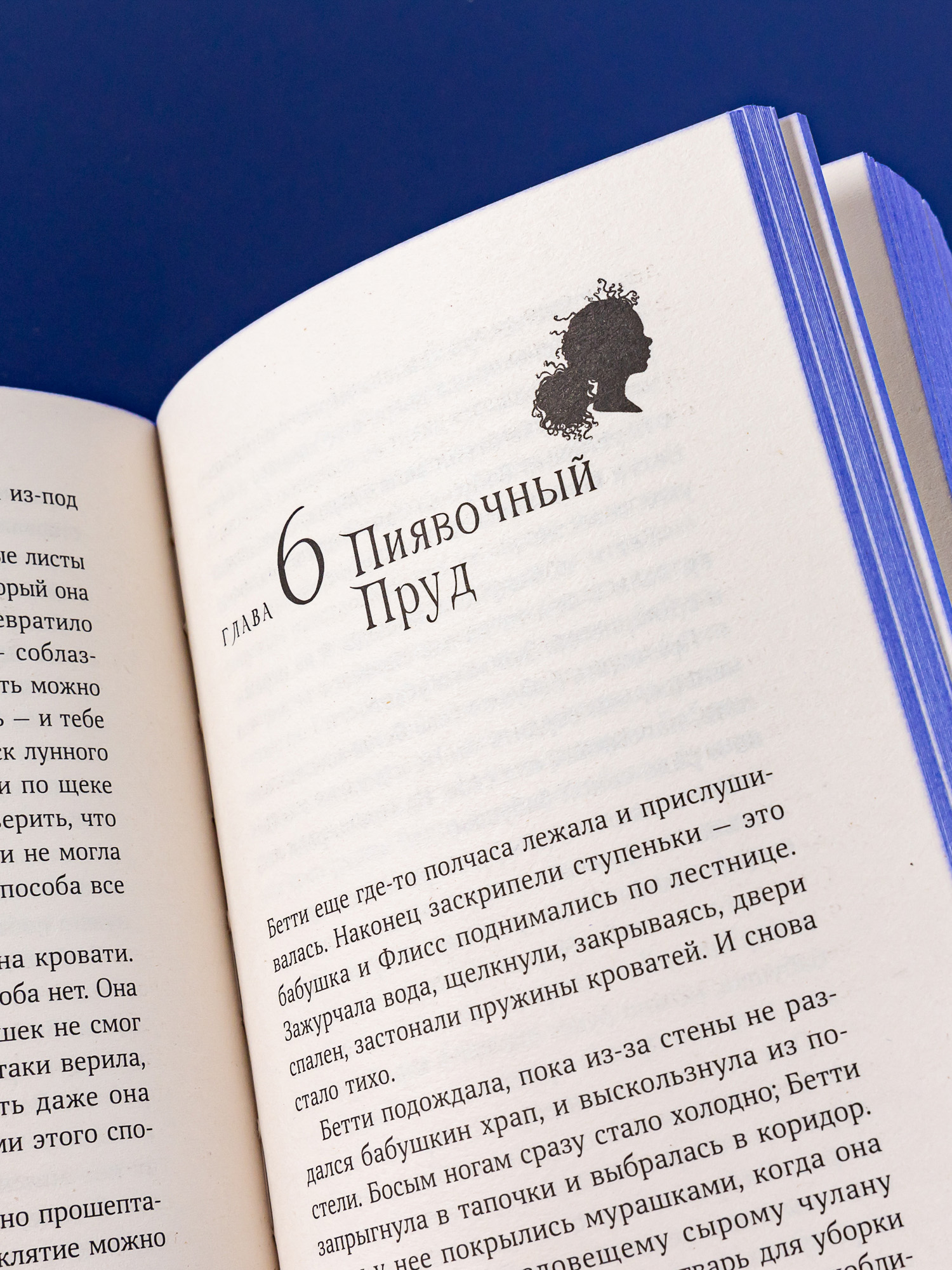 Книга Альпина. Дети Щепотка магии - фото 6