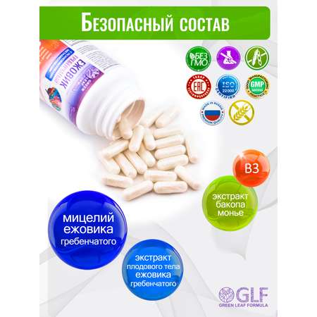 Ежовик гребенчатый Green Leaf Formula ноотроп для мозга и нервной системы бакопа монье
