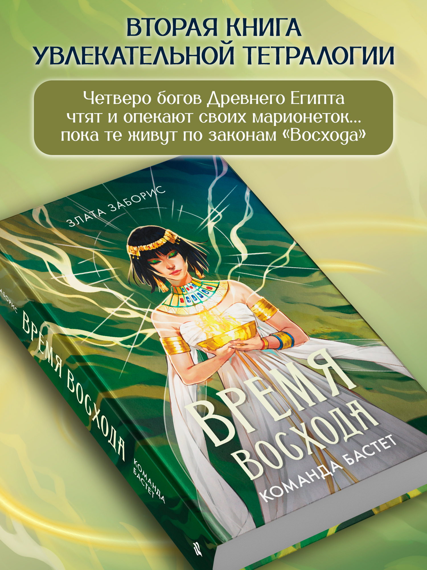 Время восхода Команда Бастет Феникс Книга - фото 6
