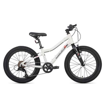 Двухколесный велосипед Maxiscoo 20 дюймов