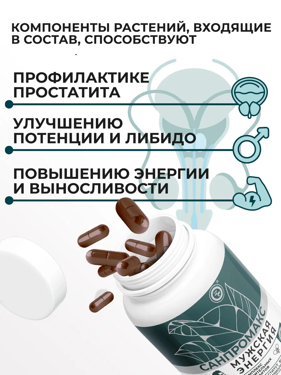 Биологически активная добавка к пище НЕОЛАЙФ «САНПРОМАКС», 60 капсул по 500 мг - фото 2