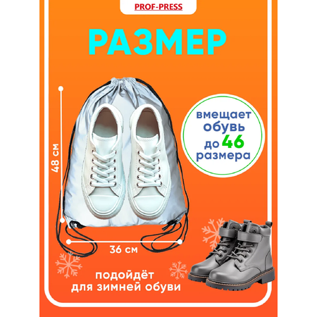 Мешок для обуви Prof-Press
