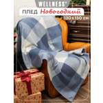 Плед Wellness Брант флис 130 x 150 см