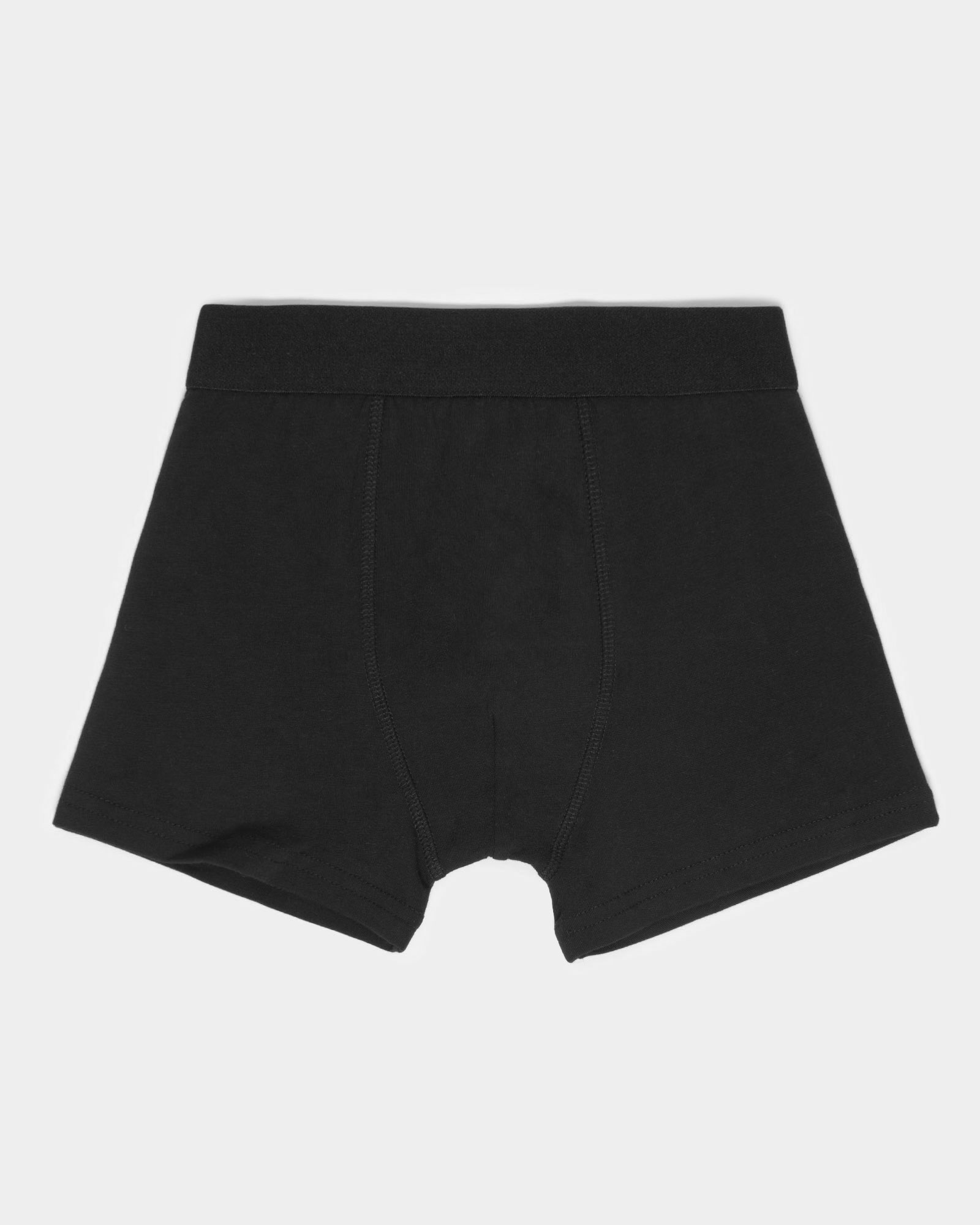 Трусы 2 шт Day and Night S24DN2-UB21kb-9924 - фото 4