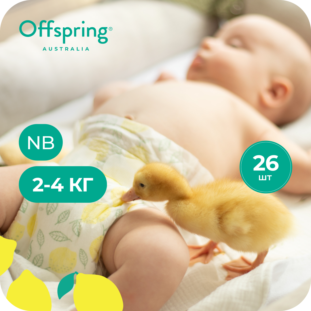 Подгузники Offspring NB (2-4 кг) 26 шт. - фото 1