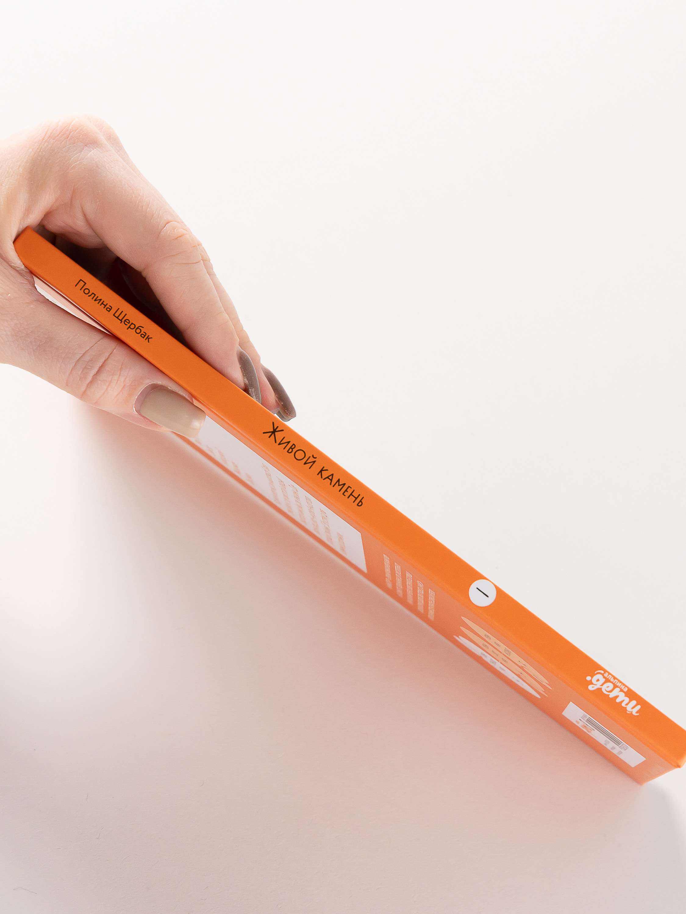 Книга Альпина. Дети Живой камень - фото 2