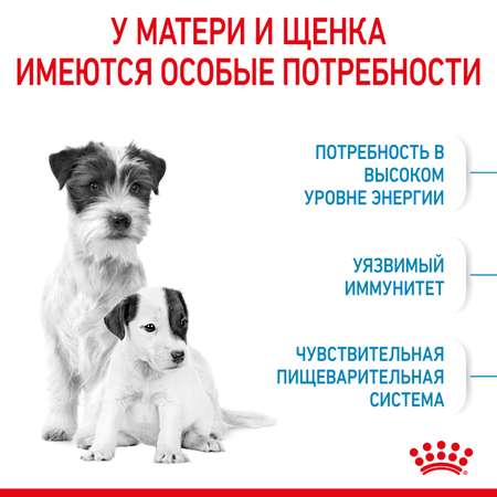Корм для щенков ROYAL CANIN Starter мелких пород 8.5кг