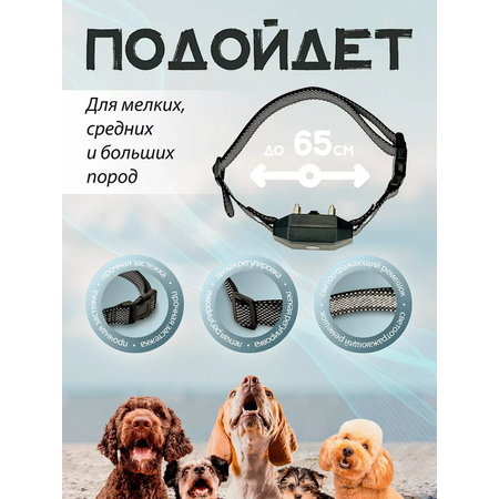Электроошейник для собак SuperPets с пультом управления