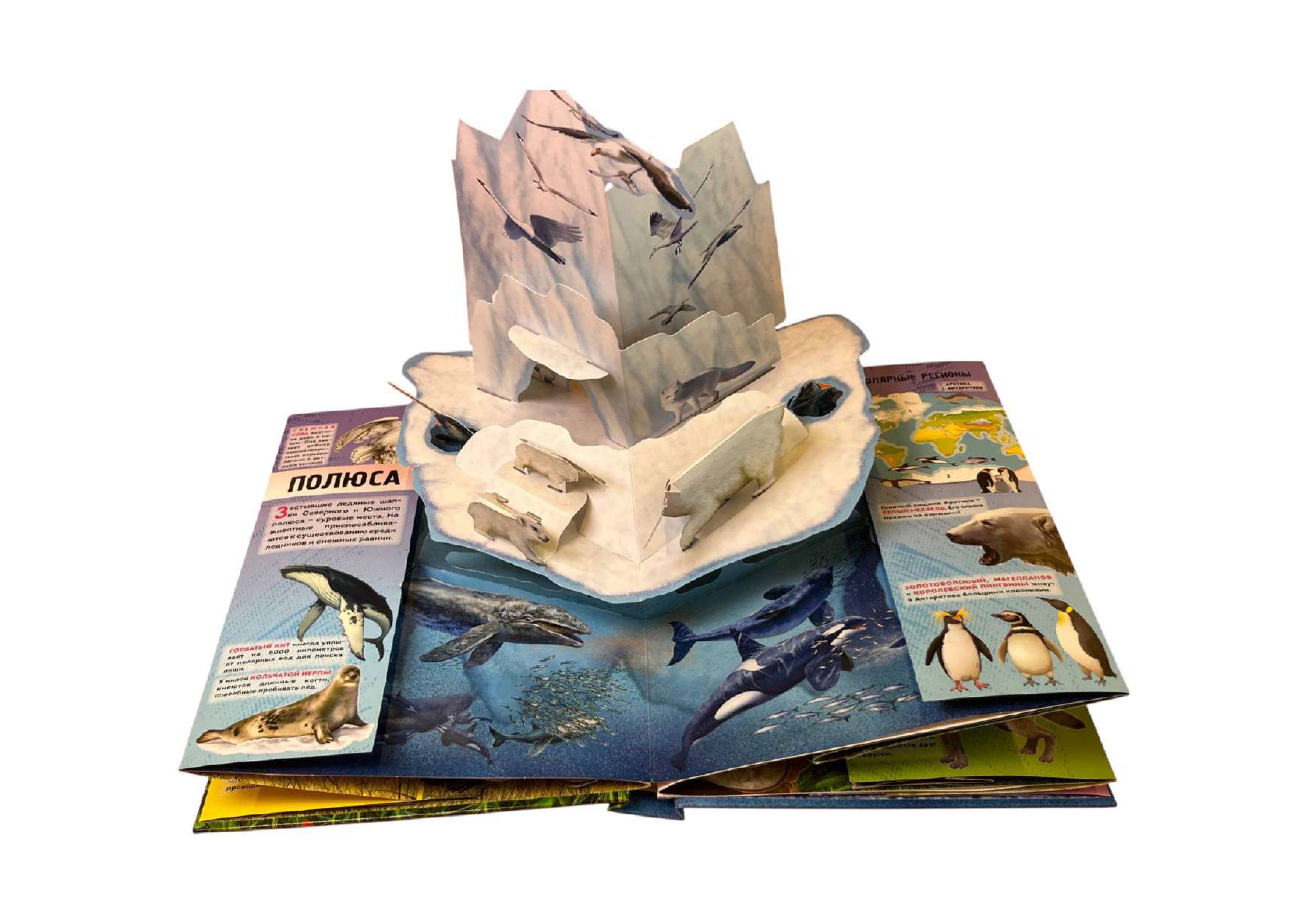 Книга Эксмо Животные 3D энциклопедия - фото 4