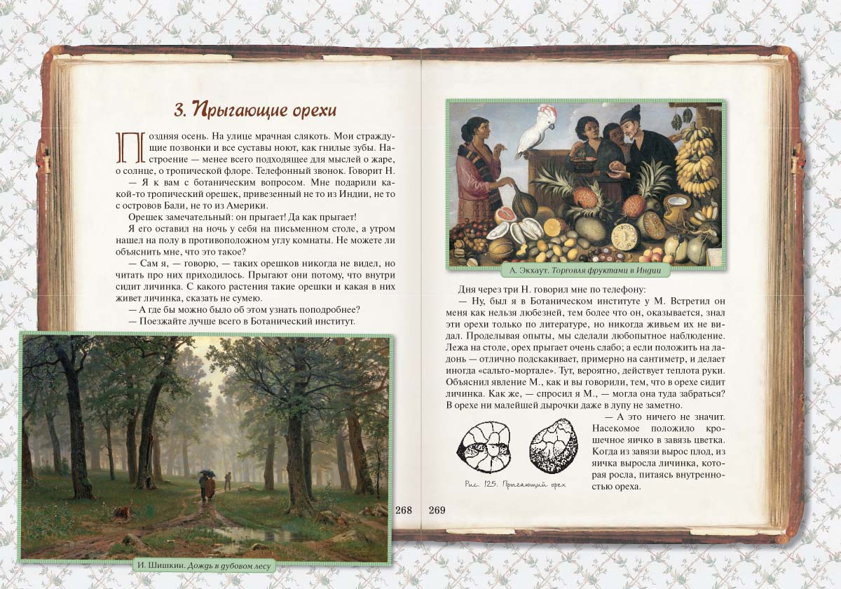 Книга Белый город Занимательная ботаника - фото 11