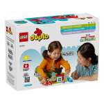 Конструктор LEGO DUPLO 10454 26 дет.