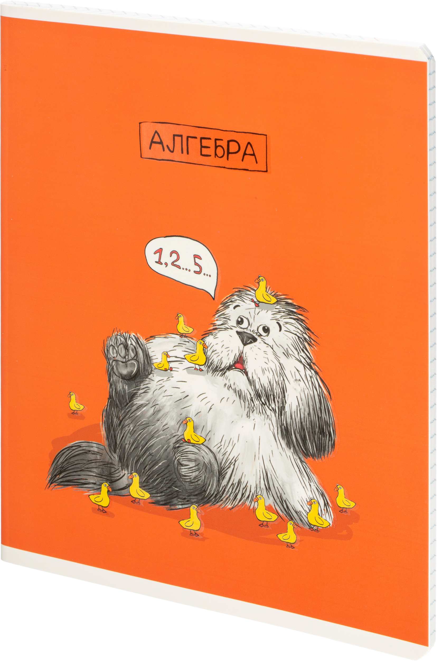 Тетрадь Комус клетка - фото 19