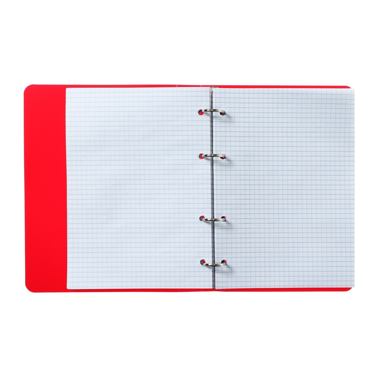 Тетрадь Calligrata клетка - фото 4