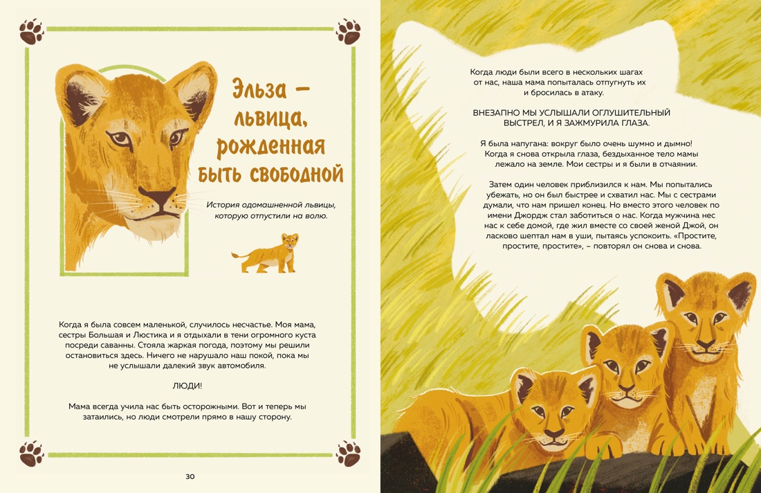 Книга Махаон Энц. Маццео Л. Животные-супергерои. Непридуманные истории для детей - фото 8