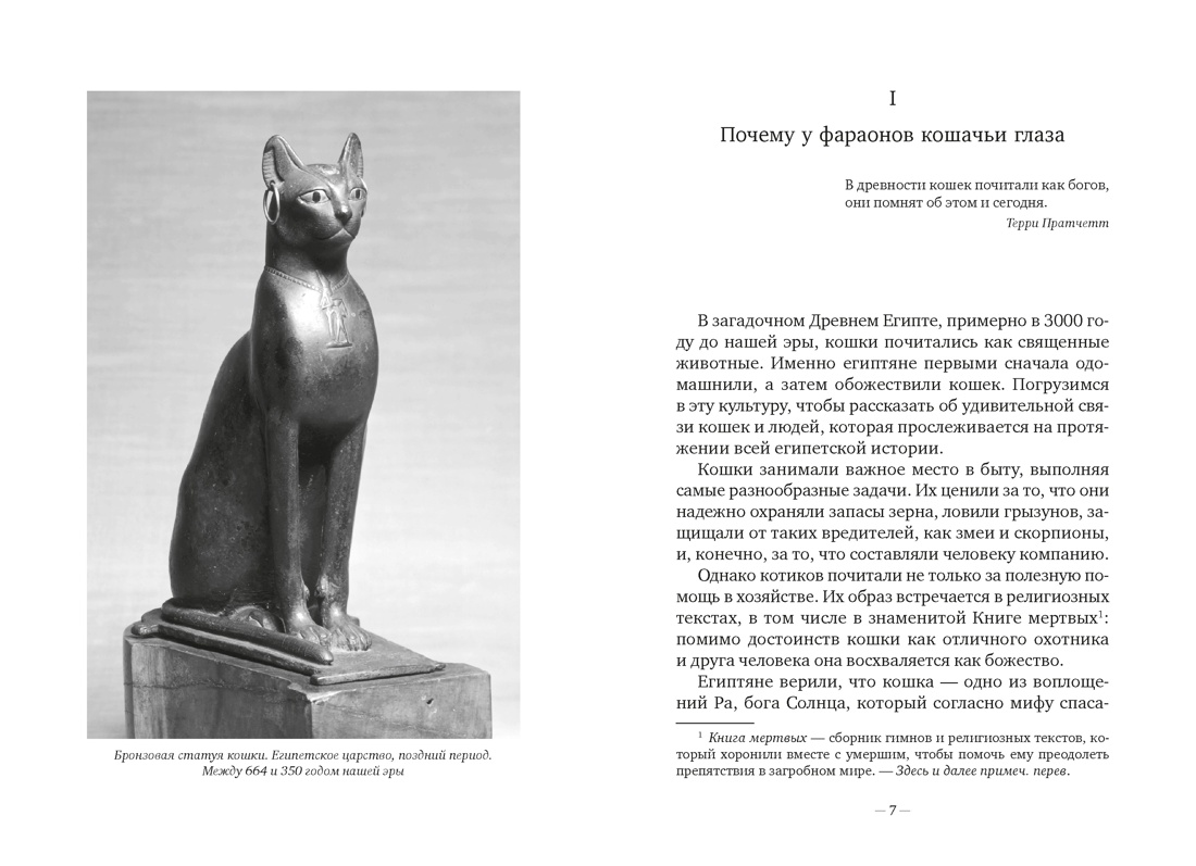 Книга АЗБУКА Диаз Мигель А Педраза Э Кошки правят миром - фото 12