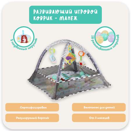 Коврик Emilly Toys