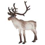 Фигурка Детское Время Северный олень (самец, стоит)