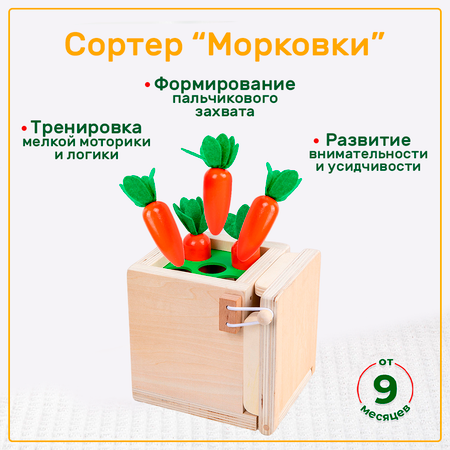 Игрушка LUCHINA toys сортер