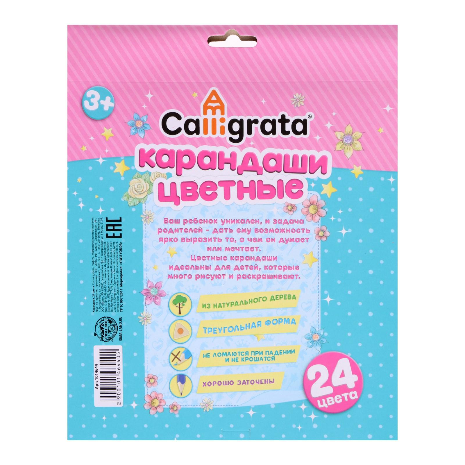 Карандаши цветные Calligrata 24 шт. - фото 2