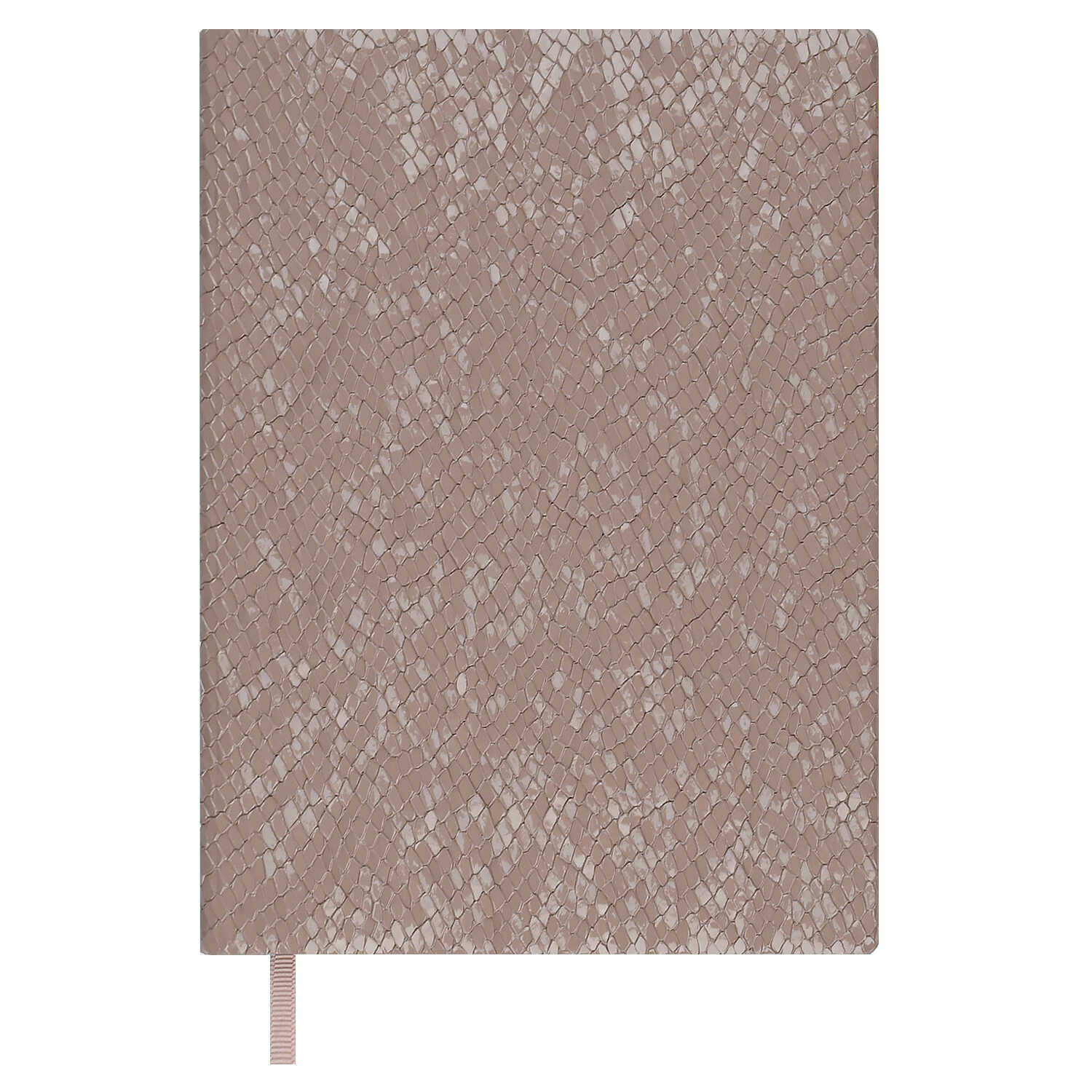 Ежедневник Феникс + ESCALADA 160 лист. - фото 7