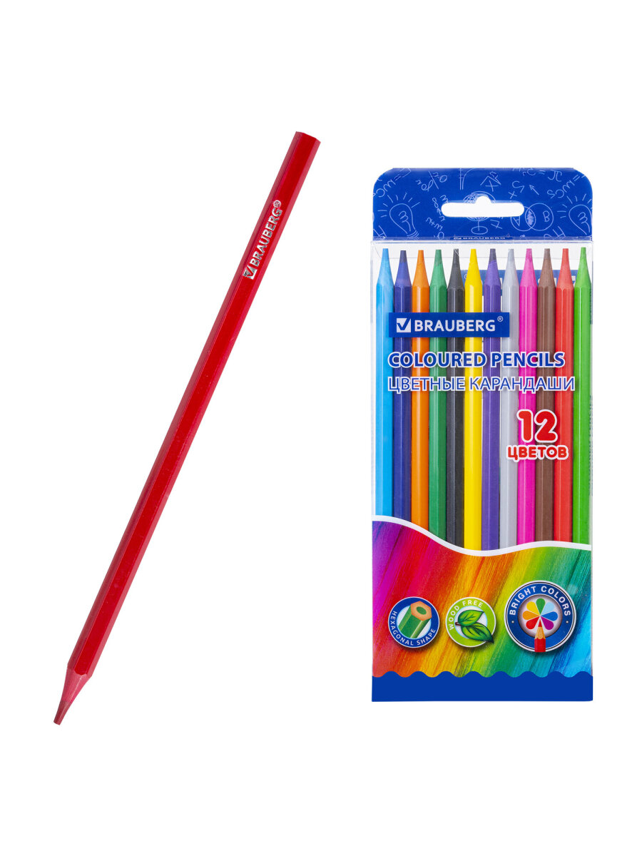 Карандаши цветные Brauberg 12 шт. - фото 2