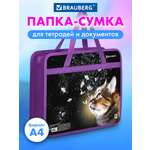 Папка с ручками Brauberg А4