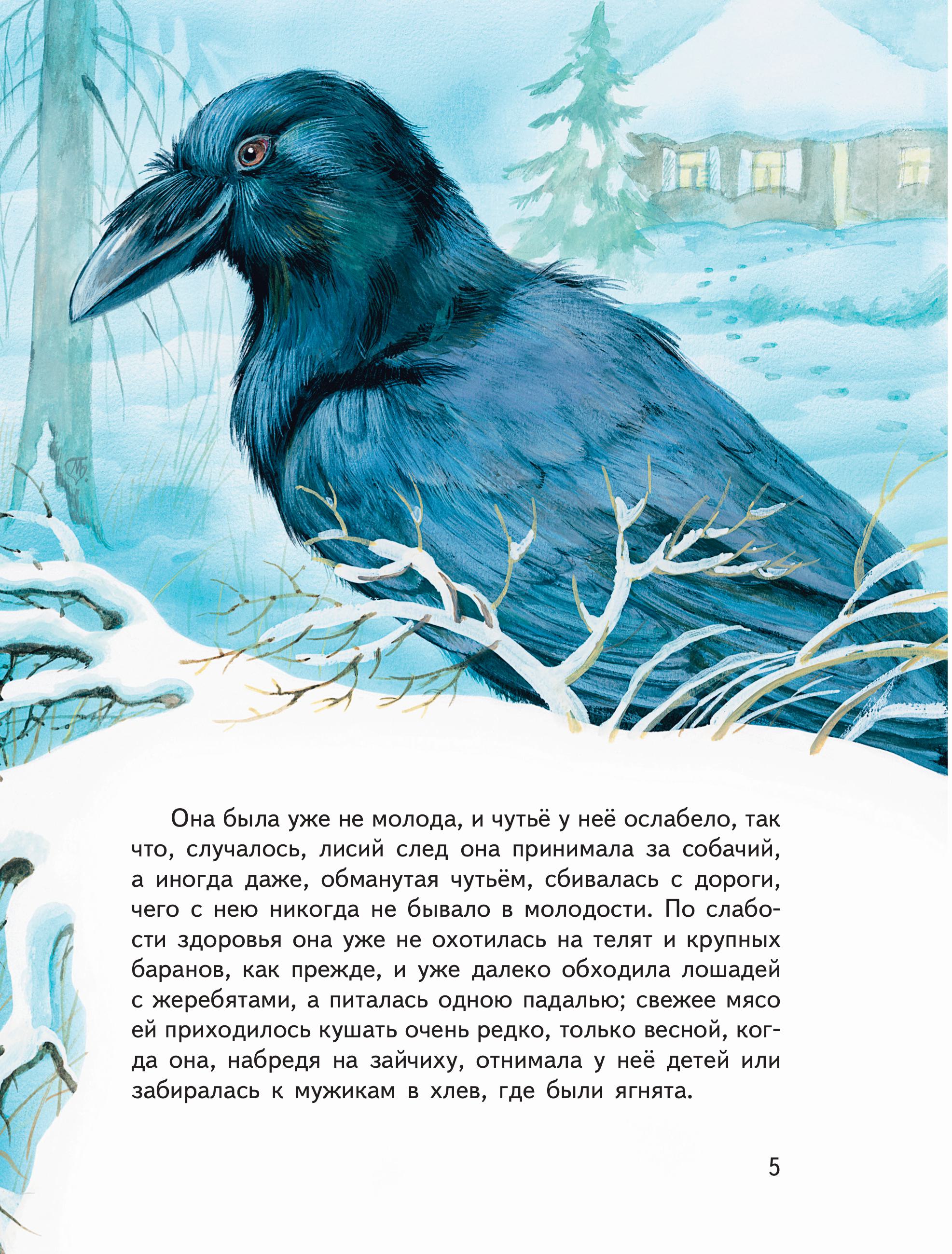 Книга Эксмо Усы, перья и хвосты. Рассказы русских писателей о животных (ил. М. Белоусовой) - фото 6
