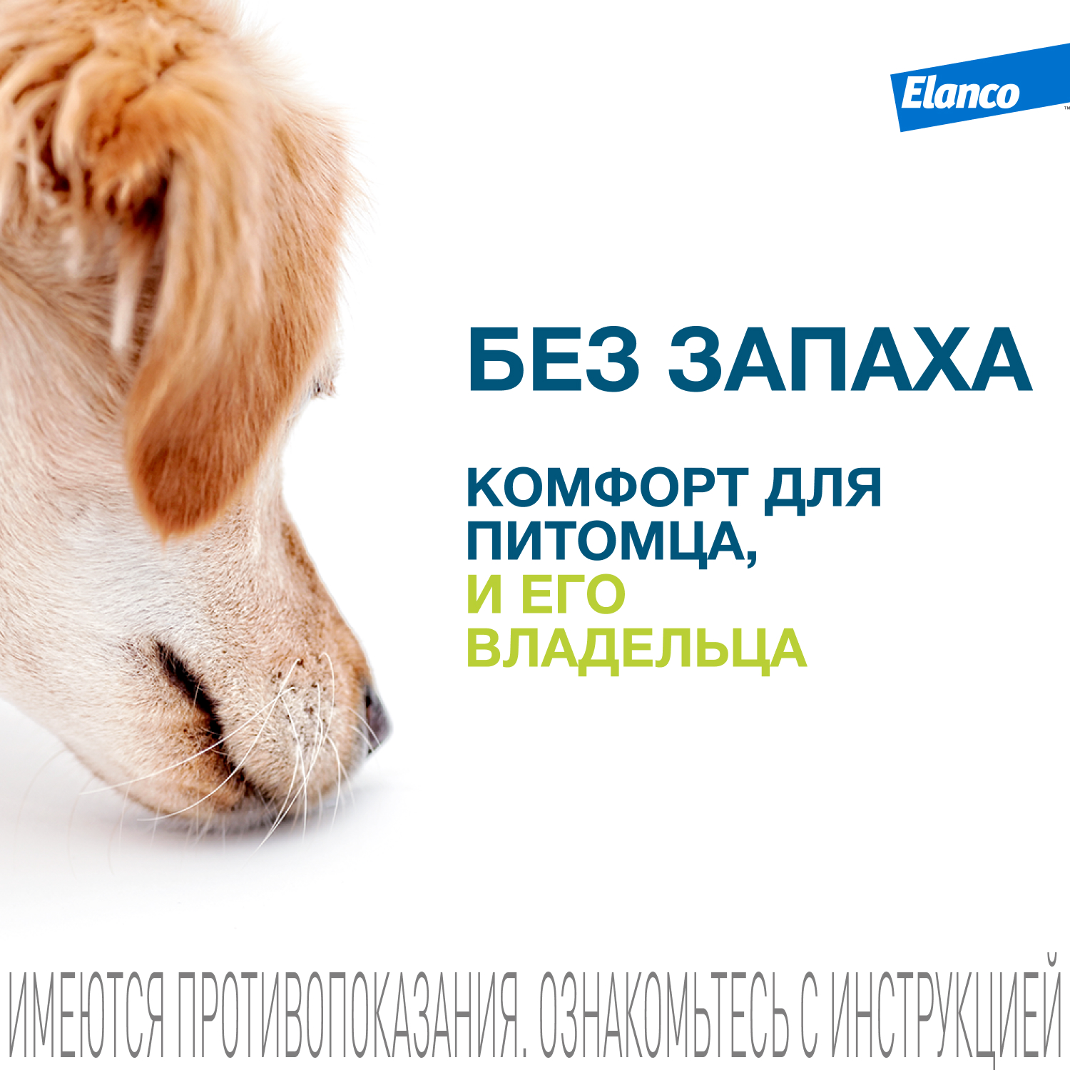 Ошейник для собак Elanco Foresto более 8кг от блох и клещей защита 8месяцев 70см 65494 - фото 9
