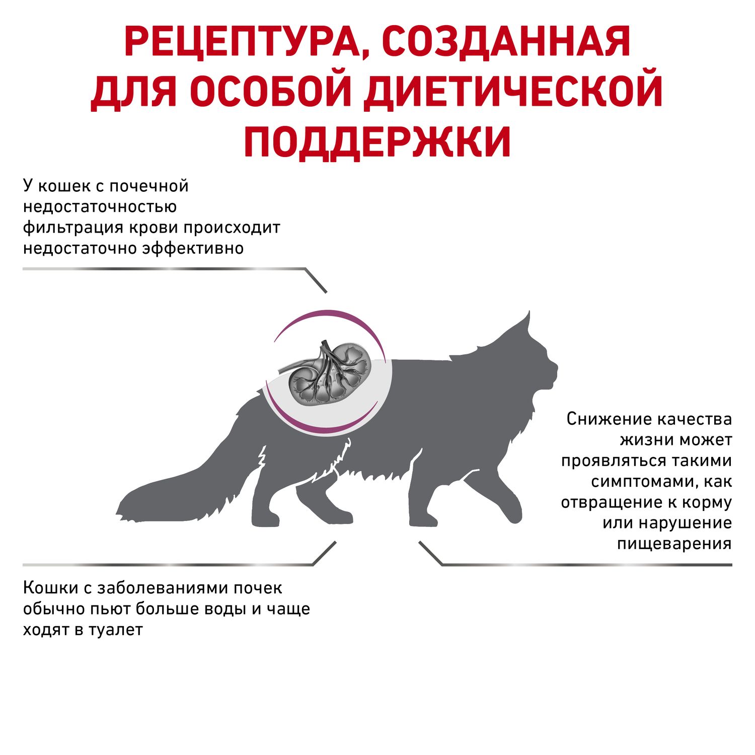 Корм для кошек ROYAL CANIN Renal RF23 лечение заболеваний почек 0.4кг - фото 2